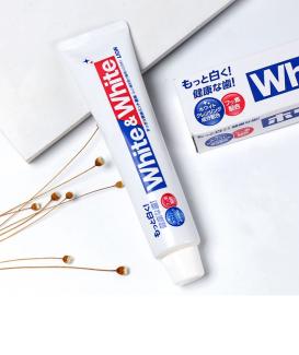 PAPAGO vehicle traveling data recorder full 1080 p hd - 副本